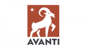 AVANTI  Urban Shoes