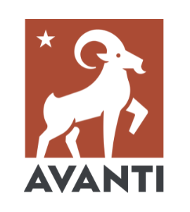 AVANTI  Urban Shoes