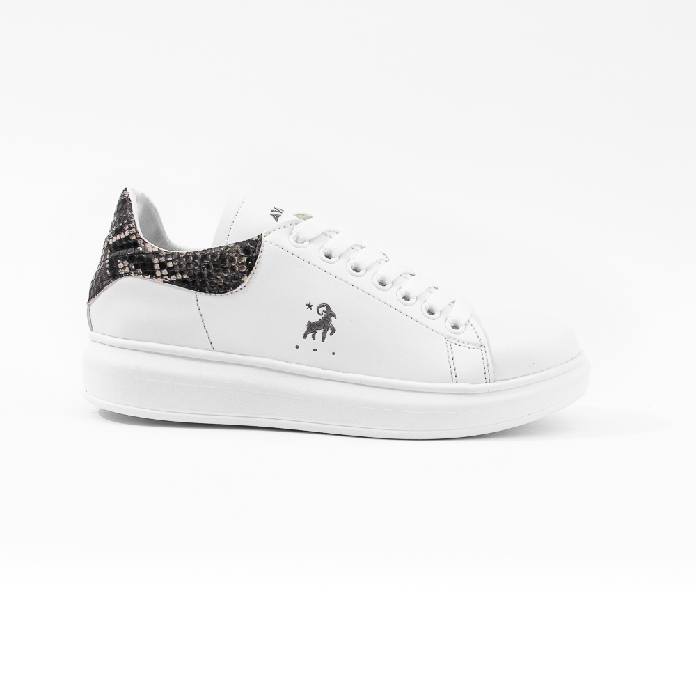 WQ PITON NEGRO_3